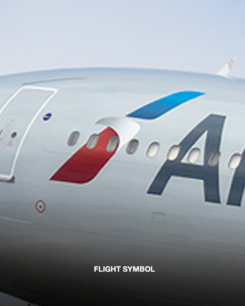 American Airlines® A330