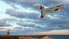 Dassault HU-25 Guardian: The US Coast Guard Falcon