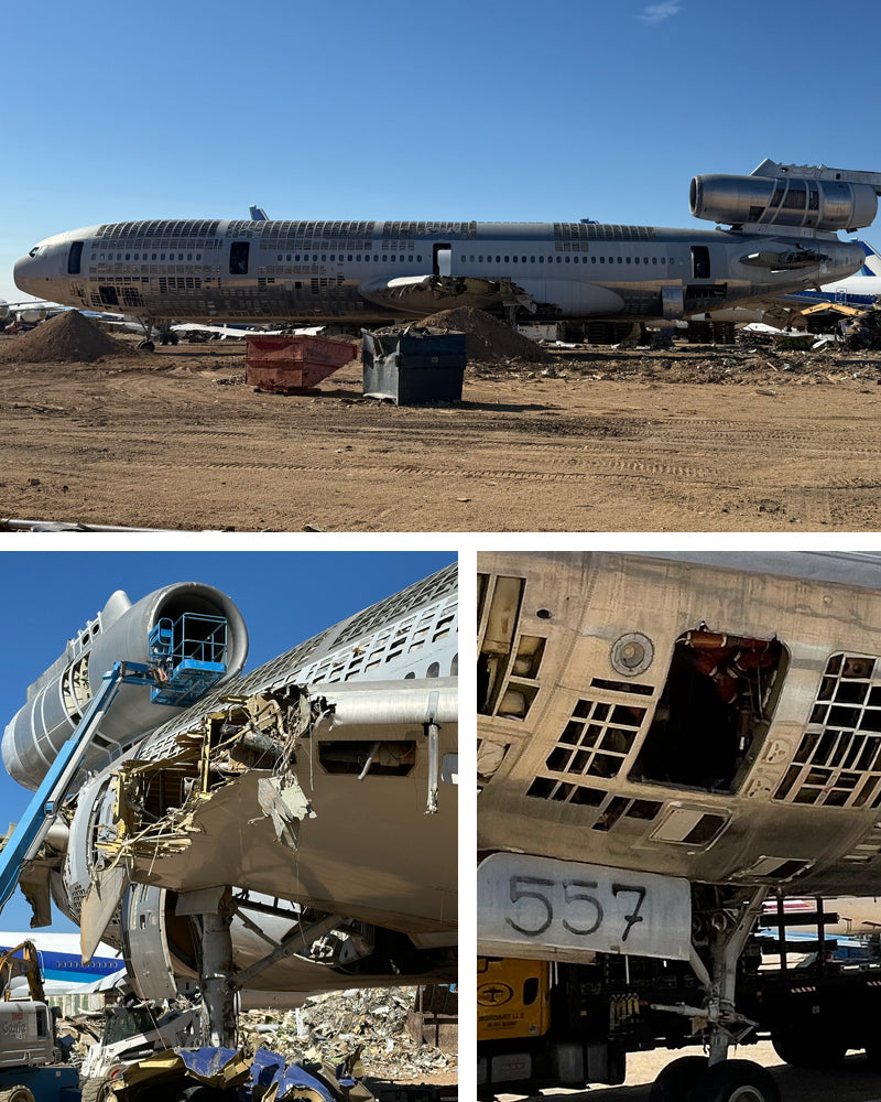 American Airlines® DC-10 PlaneTags | Aircraft Skin from N125AA