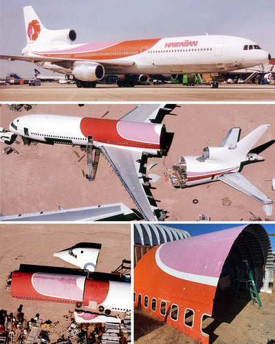Custom L-1011 - PLANETAG TAIL #EI-BTN