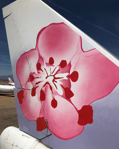 China Airlines Boeing 747-400, Tail #B-18201