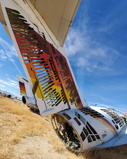 Custom Aero California - McDonnell Douglas®️  DC-9-30 Serial#: XA-SWH