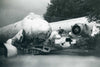 Convair B-36 Peacemaker 42-13571